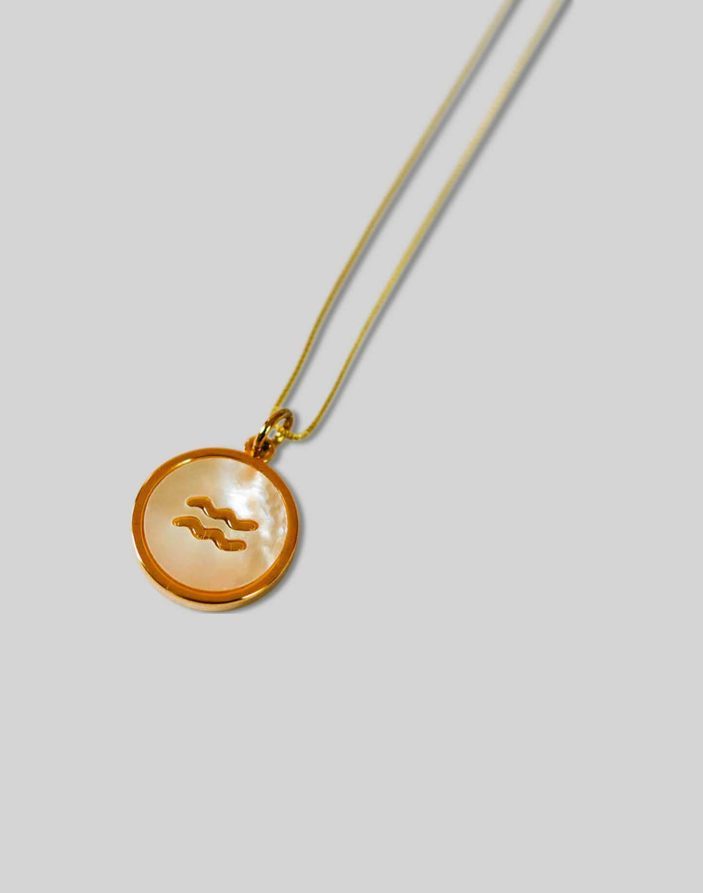 The Minimalist Zodiac Necklace in Gold