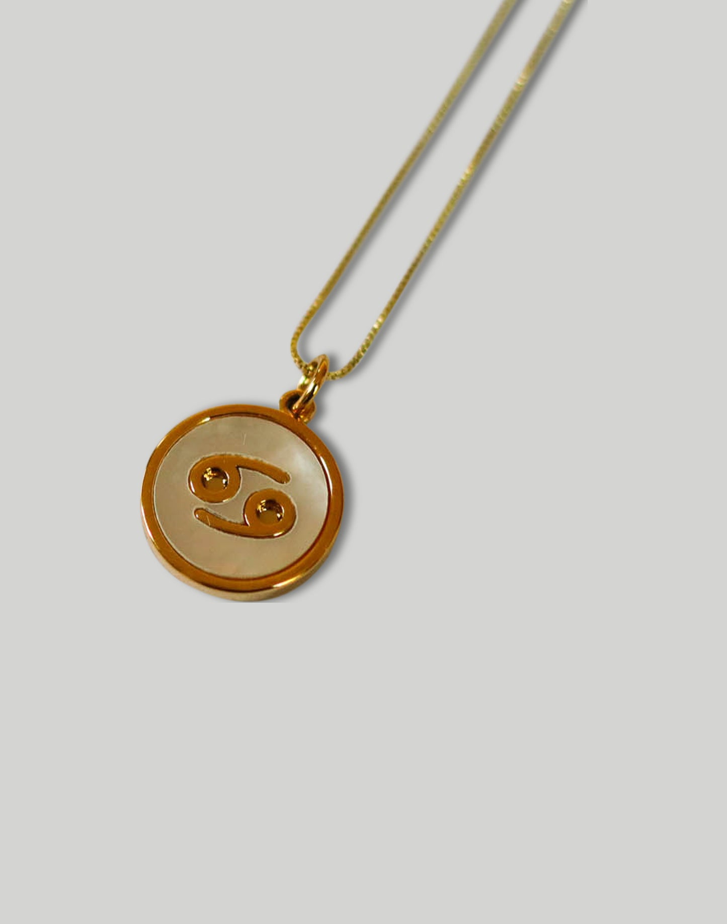 The Minimalist Zodiac Necklace in Gold