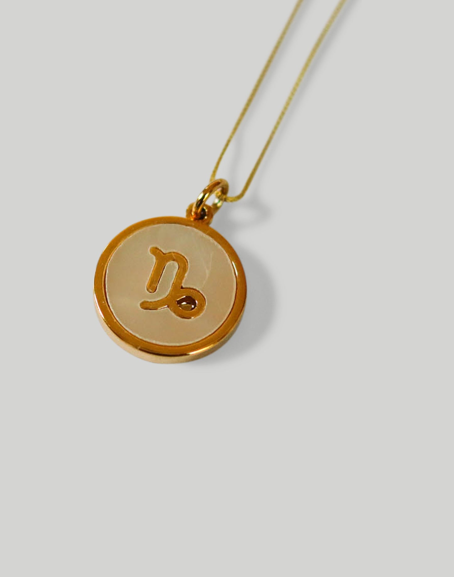 The Minimalist Zodiac Necklace in Gold