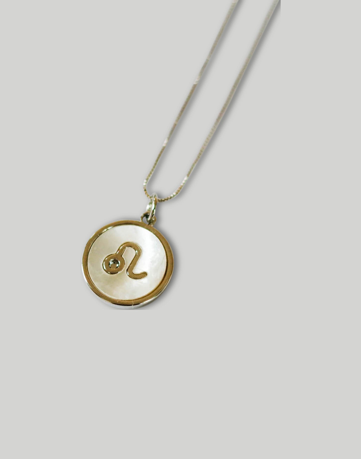 The Minimalist Zodiac Necklace in Silver