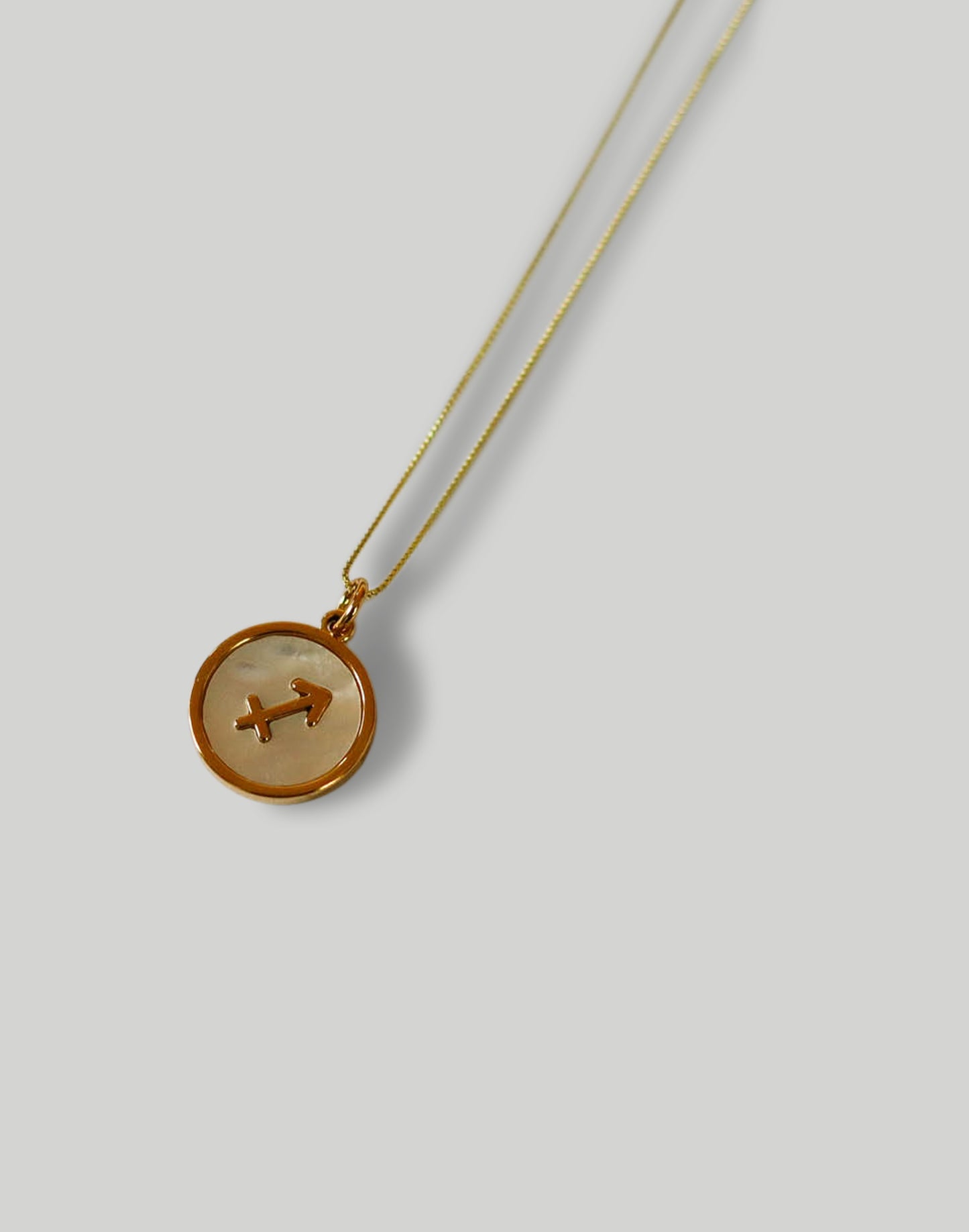 The Minimalist Zodiac Necklace in Gold